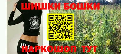 spice Чебоксары