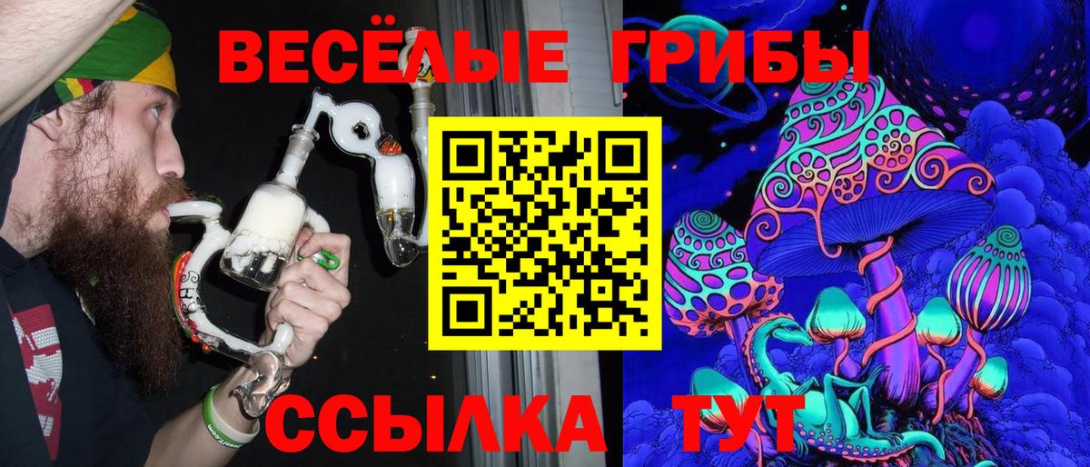 закладка  Галлюциногенные грибы Cubensis  Вход с VPN  Борисоглебск 